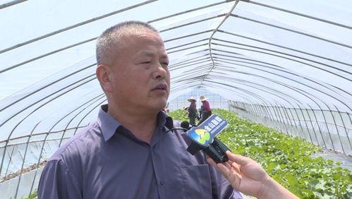 吃瓜群众老中枪,揭秘网络热词背后的真实故事