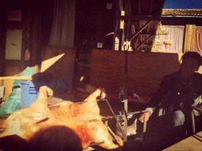 梦见夜里别人送个瓜吃,夜半瓜香,揭秘神秘赠礼之谜