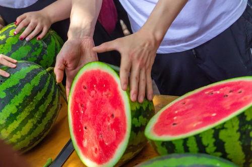 邯郸学院今天吃瓜,校园热闻一网打尽