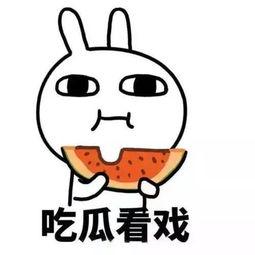 围观吃瓜还有什么,揭秘网络热议背后的真相与趣味