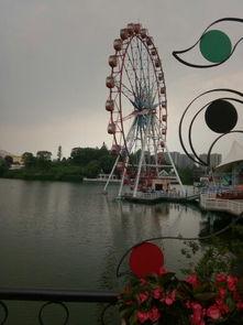 吃瓜欢乐谷,揭秘娱乐圈的甜蜜与苦涩