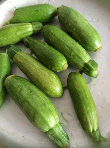 小角瓜咋吃,解锁美味新体验