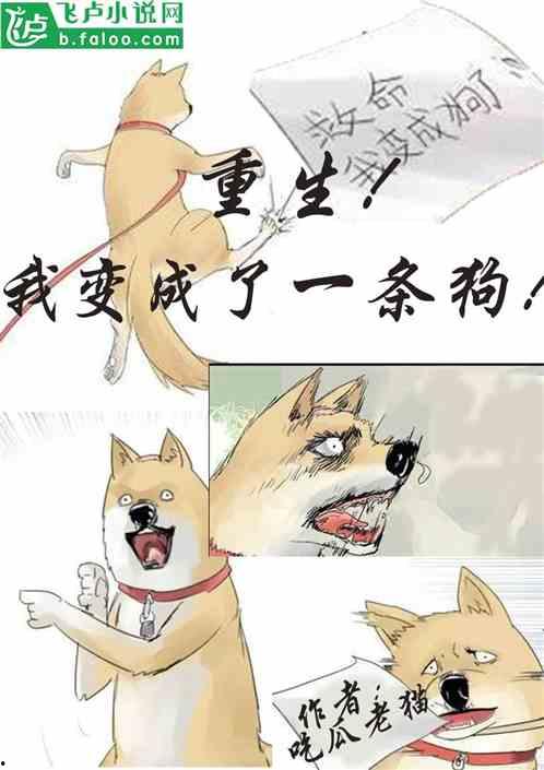 嘎嘎吃瓜小说全文阅读,一场校园风云的狂欢