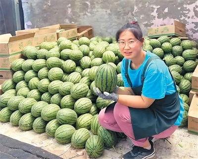 专业吃瓜者,专业吃瓜者的深度剖析