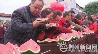 小曲吃瓜看热闹,揭秘娱乐圈幕后故事