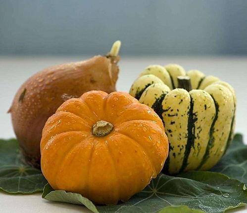 吃方瓜吗,方瓜美食大揭秘