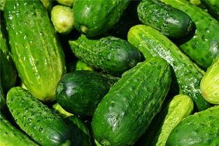 梦黎吃瓜,揭秘娱乐圈背后的那些事儿