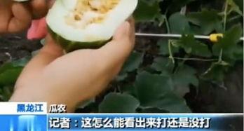 严谨的吃瓜,严谨吃瓜，深度剖析明星幕后故事