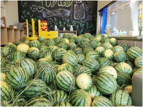 专属吃瓜,专属吃瓜，带你领略娱乐圈幕后风云