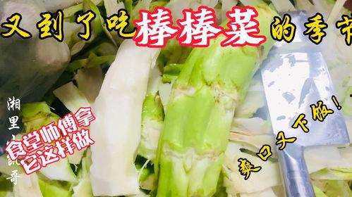 山南老师吃瓜,揭秘娱乐圈幕后故事