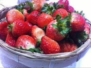 在家里喝茶吃瓜,居家品茗赏瓜,悠然自得时光